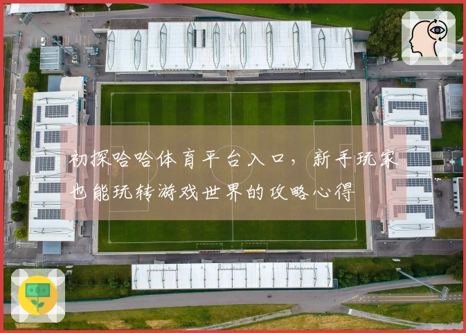 初探哈哈体育平台入口，新手玩家也能玩转游戏世界的攻略心得